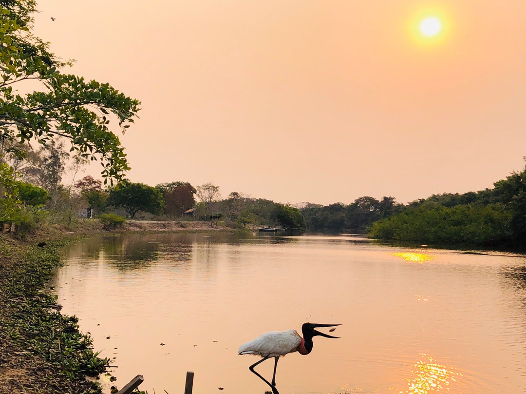 Parque Estadual Encontro das Aguas景点图片