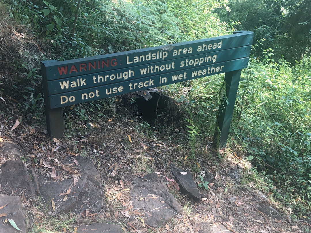 Witches Falls Walking Trail-丹百林山必去景点