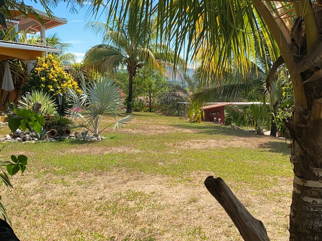 Finca Buena Vista主图