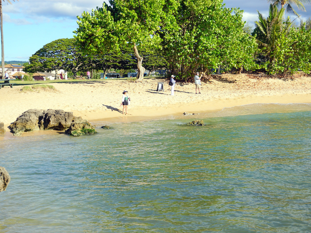 哈雷瓦海滩公园景点图片