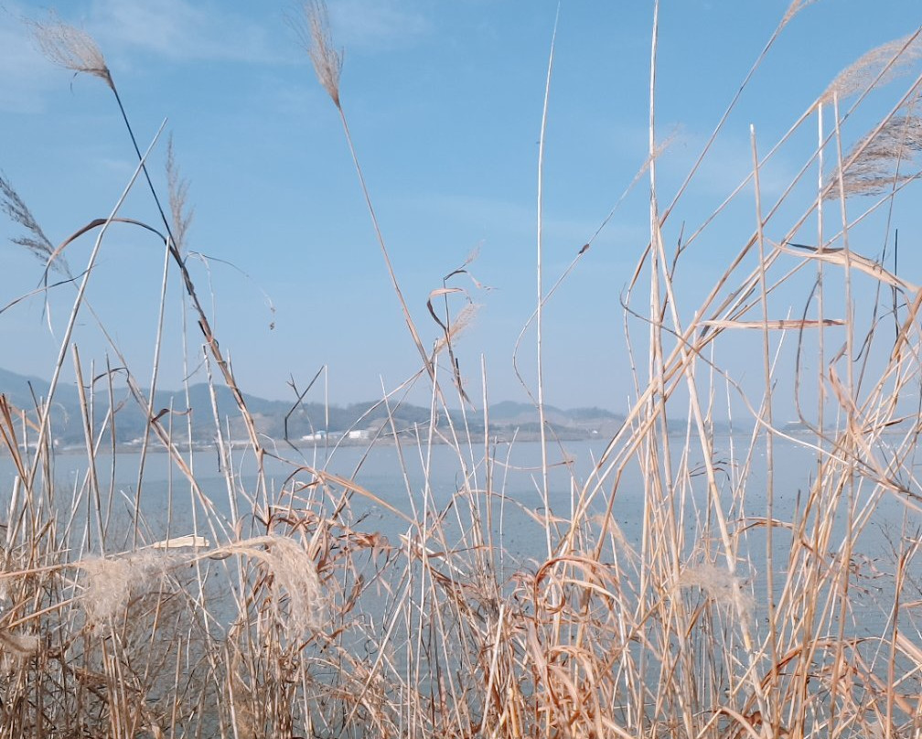 Junam Reservoir景点图片