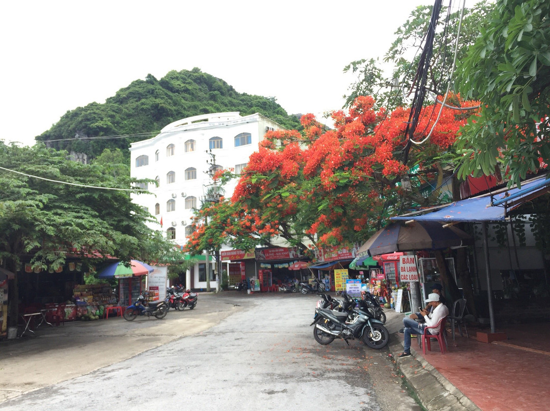 Alibaba's Hotel主图