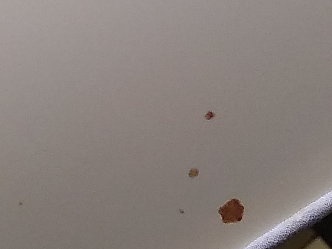 Baymont by Wyndham Marion主图