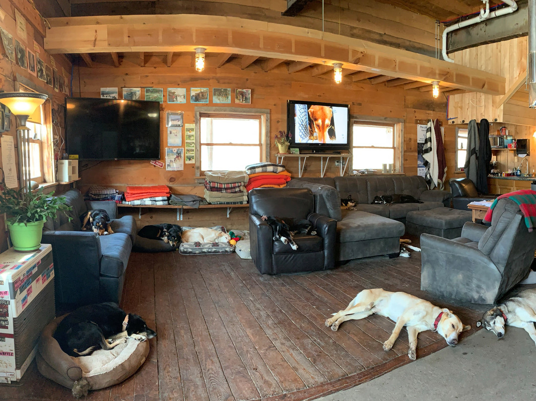 Eden Dogsledding-Eden Mills必去景点