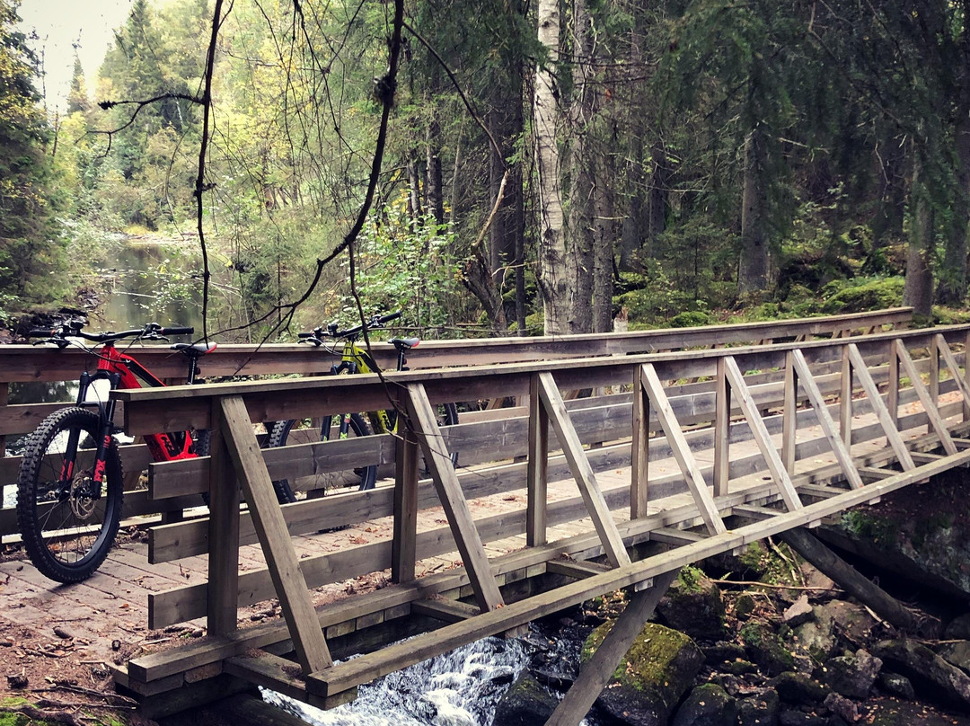 Offroad E-bike Adventure-奥斯陆必去景点