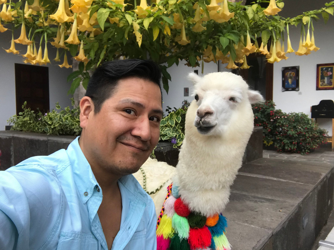 库斯科 JW 万豪酒店主图