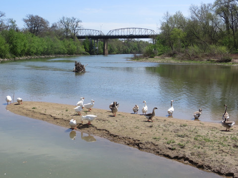 Fisherman's Park-巴斯特罗普必去景点