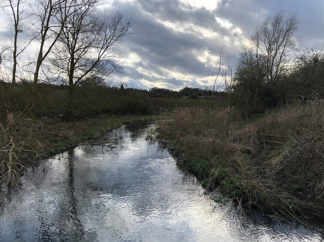 River Lea景点图片