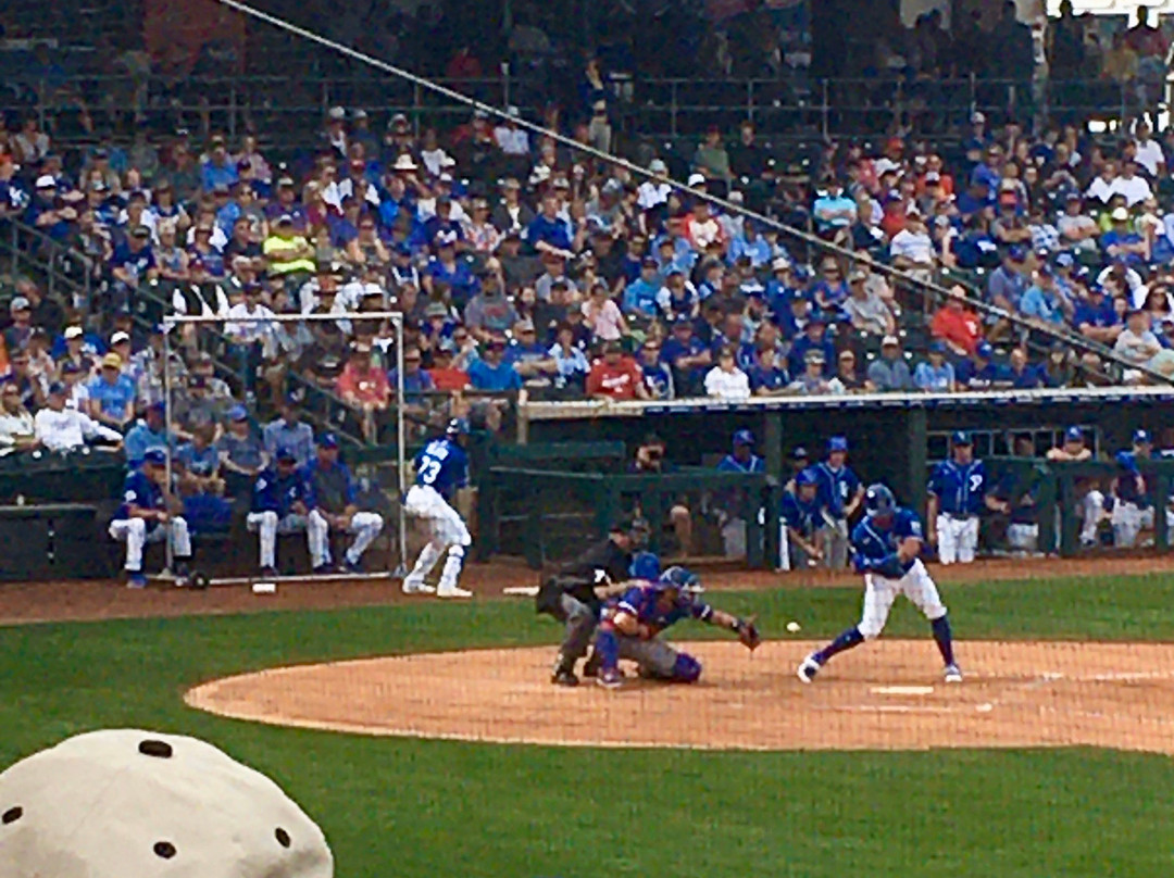 Arizona Cactus League-梅萨必去景点