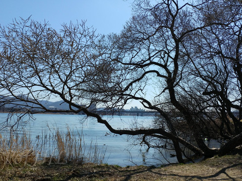 Water Garden-南杨州市必去景点