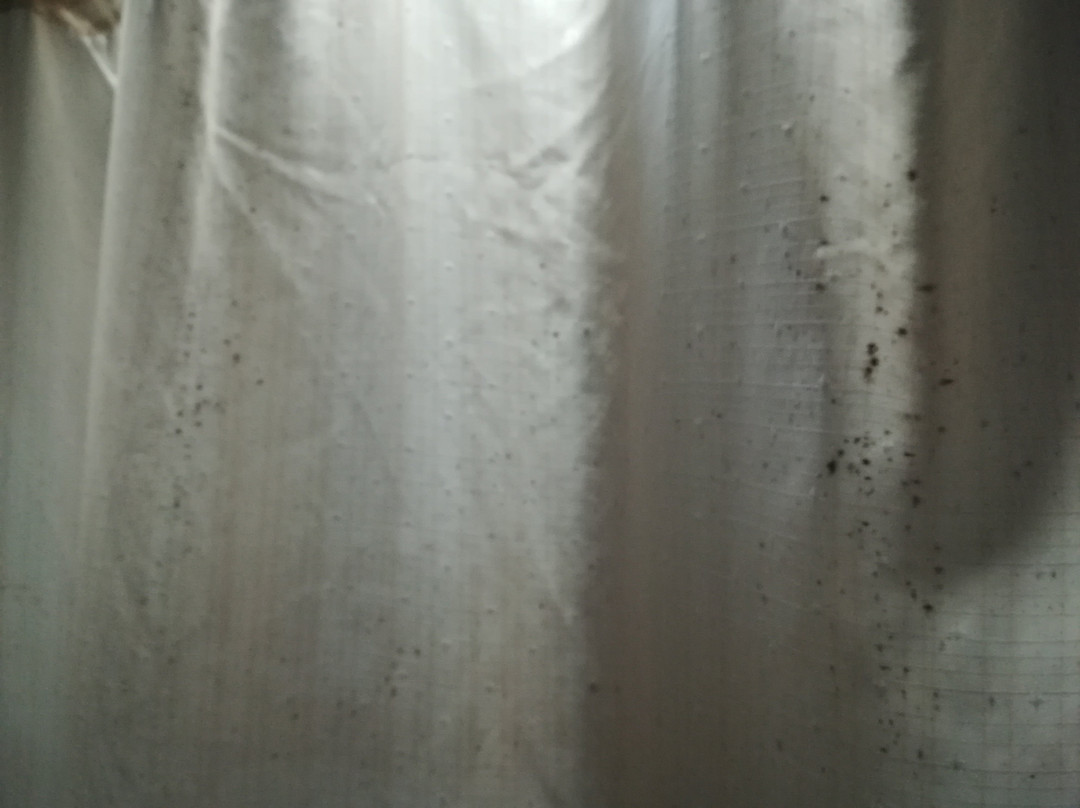 西巴雅克国际酒店主图