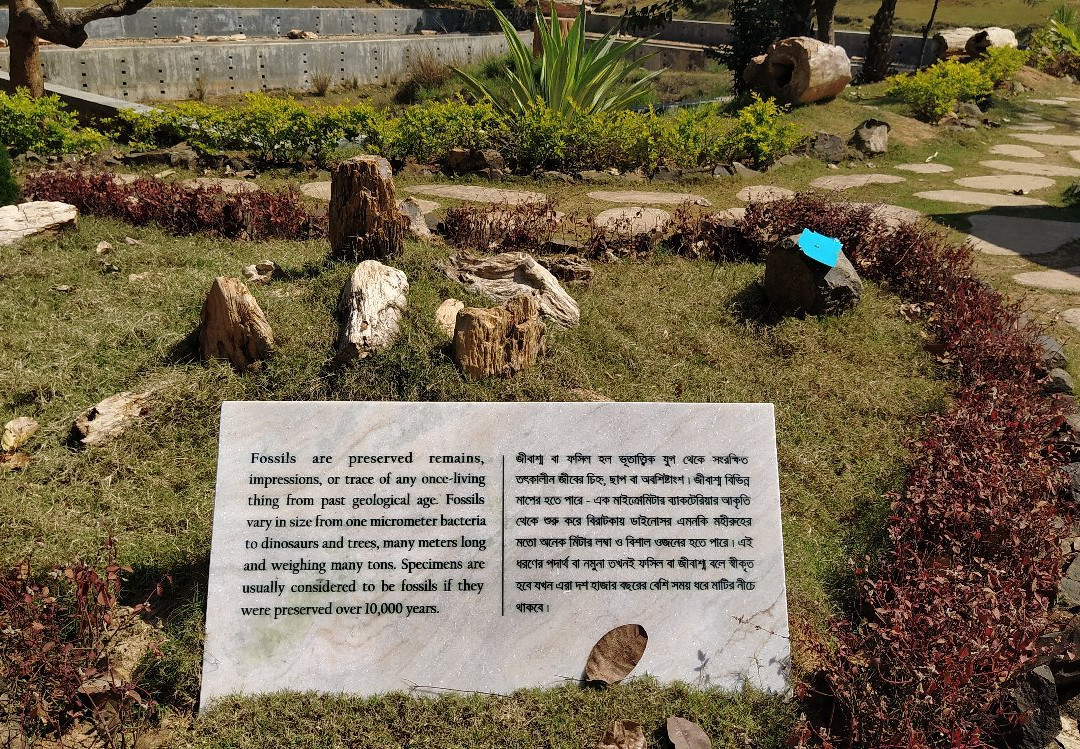 Amkhoi Fossil Wood Park景点图片