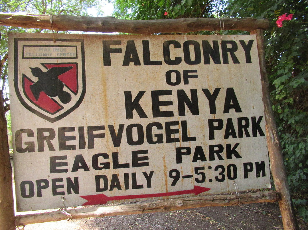 Falconry of Kenya-马林地必去景点