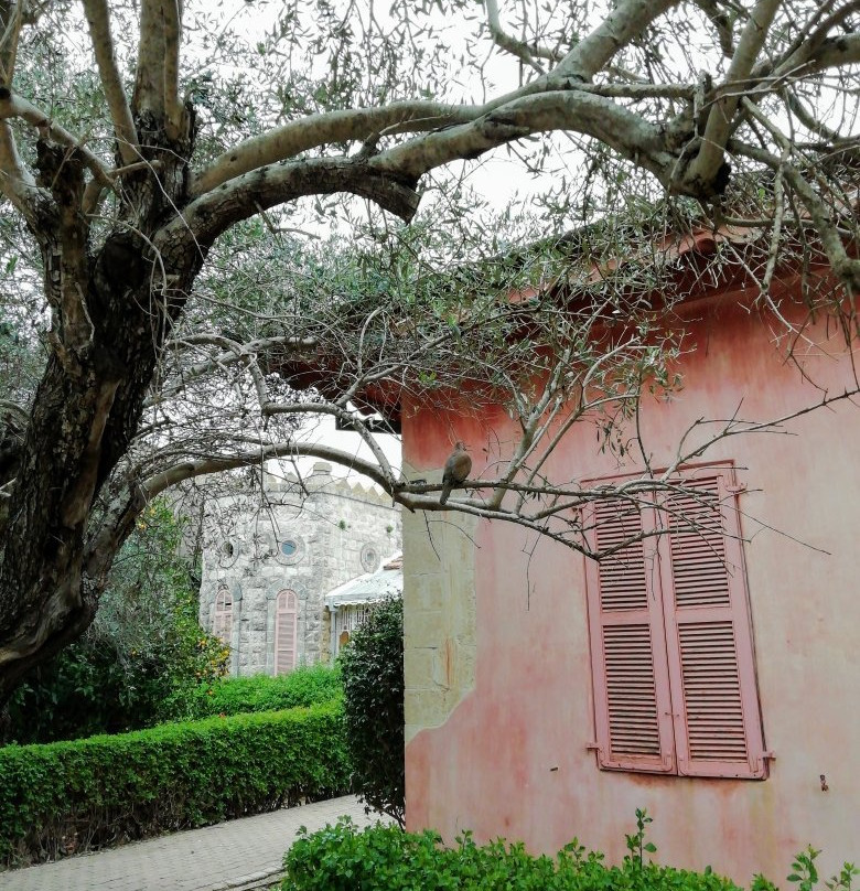Zichron Yaakov Pedestrian Mall-Zichron Yaakov必去景点