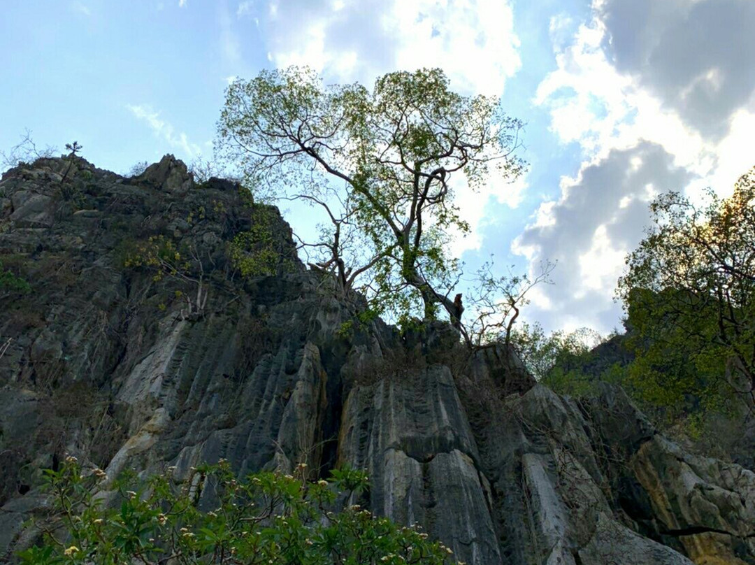 Khao Yoi Cave景点图片