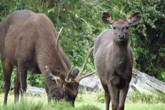 Aaronify Odyssey-奴娃拉伊利雅必去景点