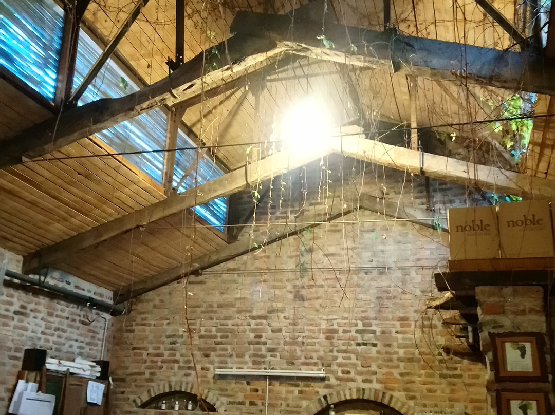 Bodega San Javier-圣哈维尔必去景点