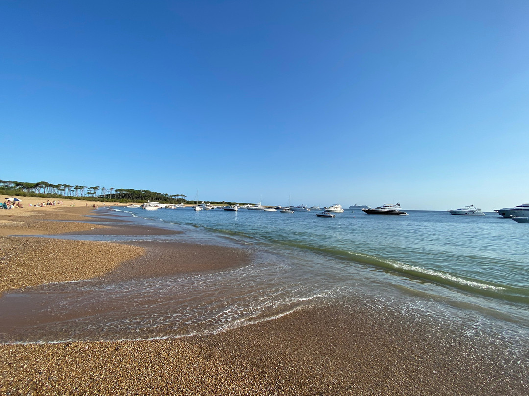 Isla Gorriti-Maldonado必去景点