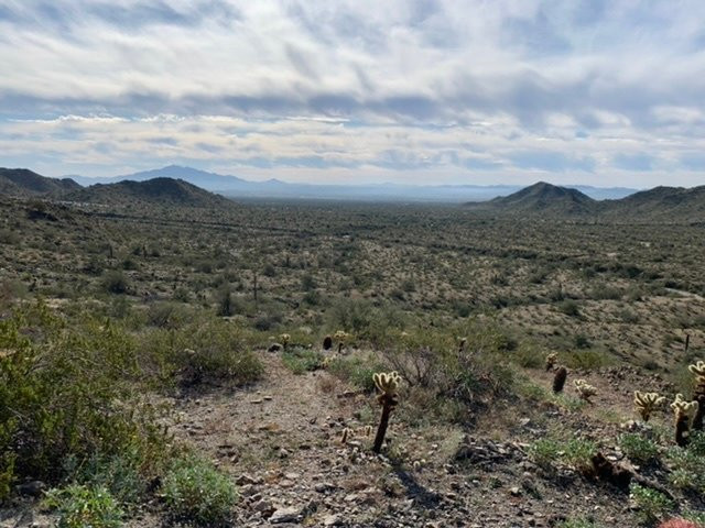 Skyline Regional Park-Buckeye必去景点