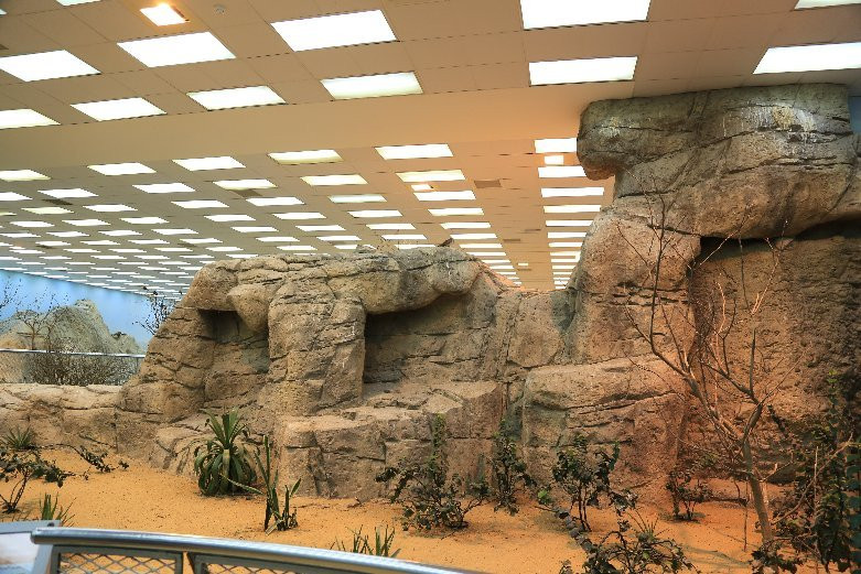 Arabian Wildlife Center-沙迦必去景点