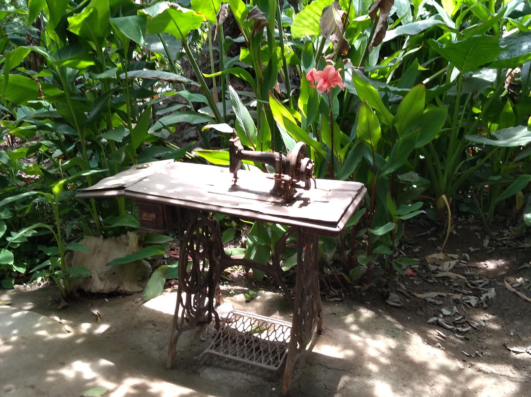 Santuario Del Picaflor-阿里卡必去景点