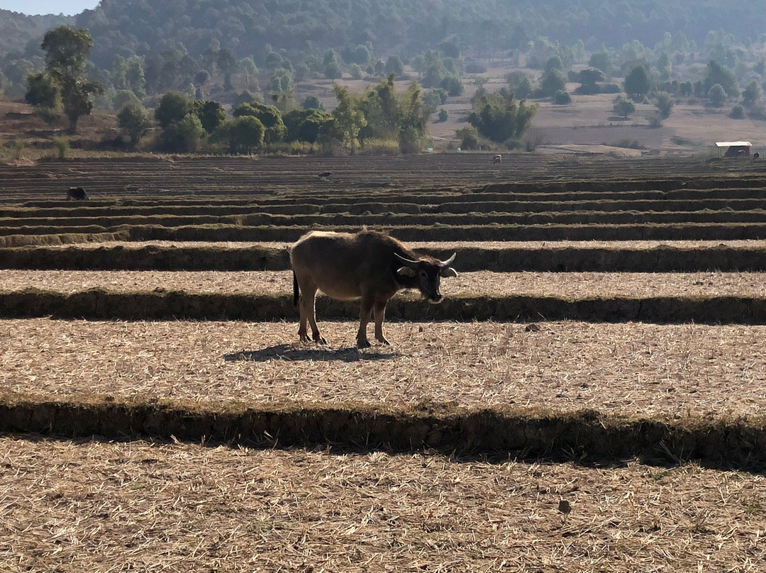 Yola Trekking景点图片