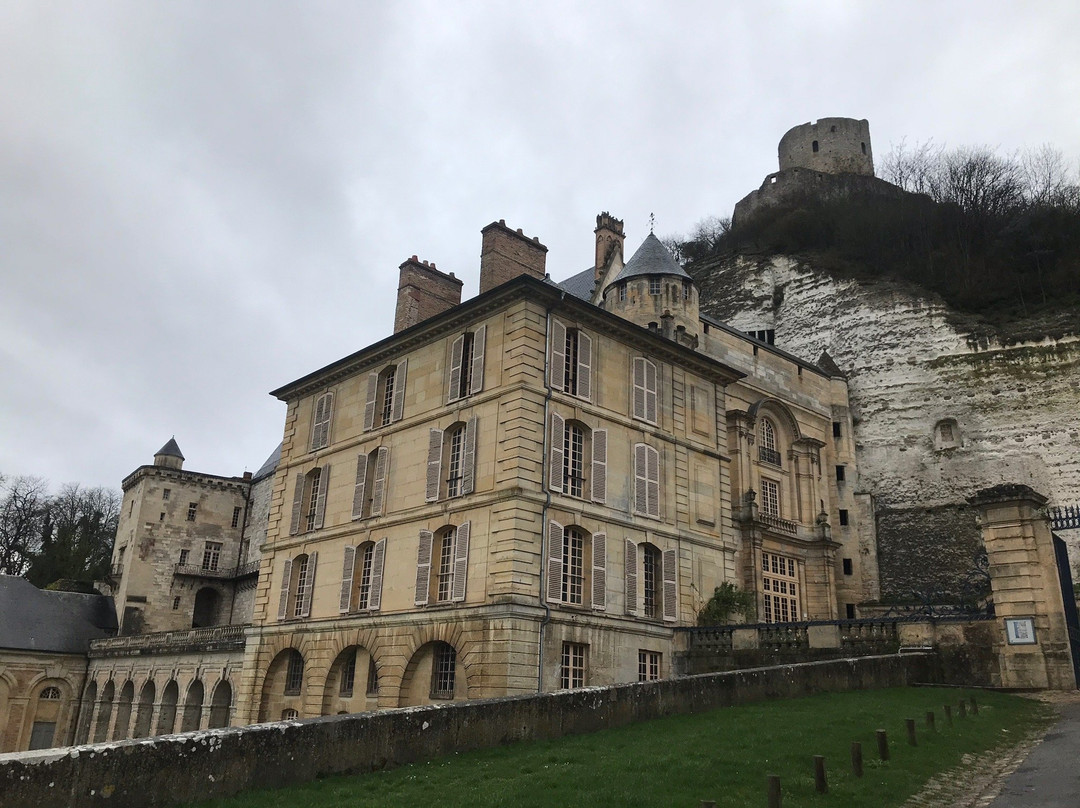 Château de La Roche-Guyon景点图片