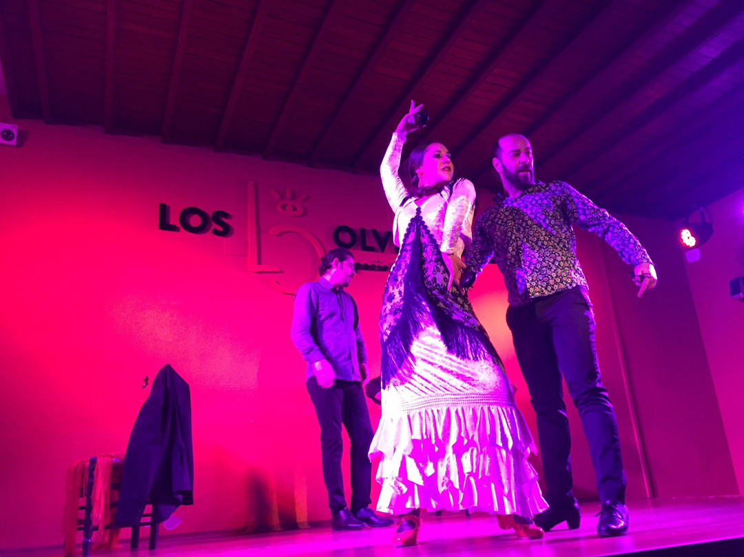 Flamenco los Olvidados-格拉纳达必去景点