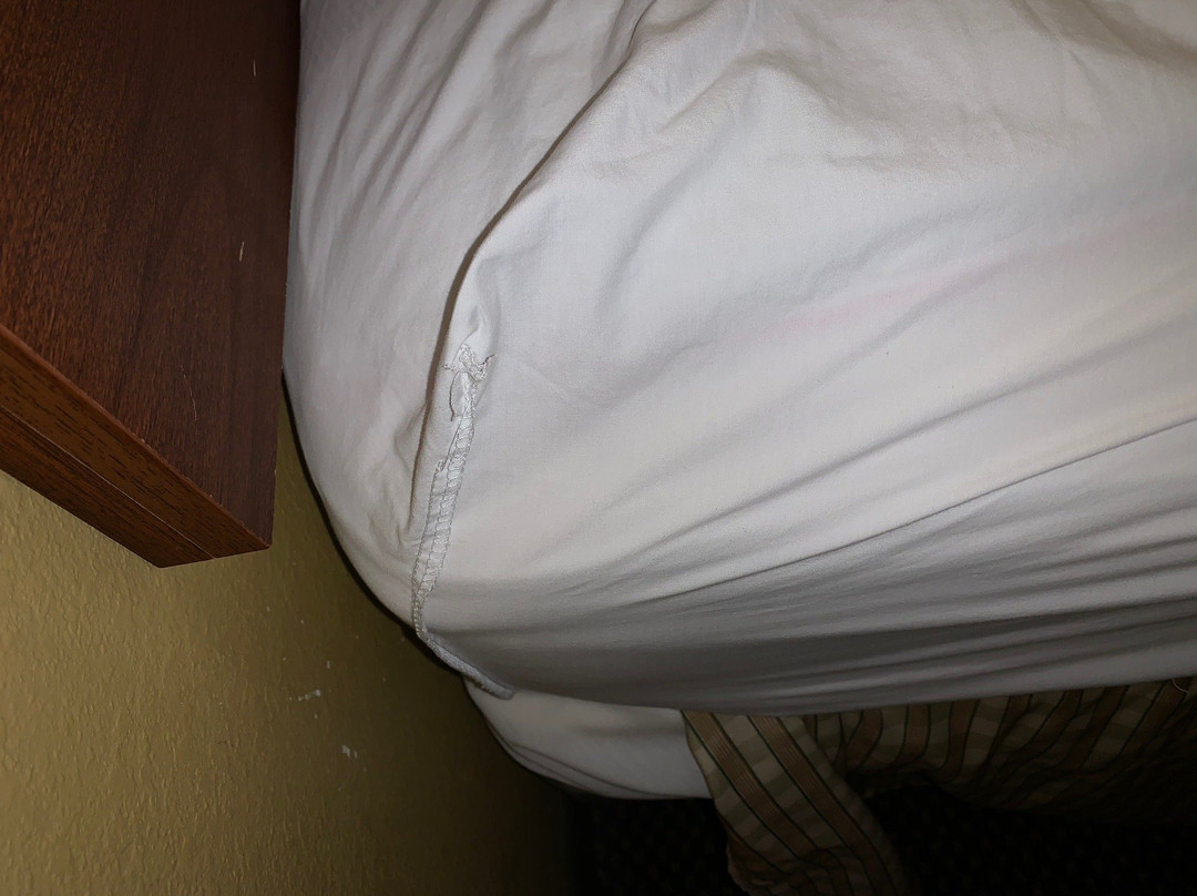 Country Inn & Suites by Radisson, Norman, OK主图