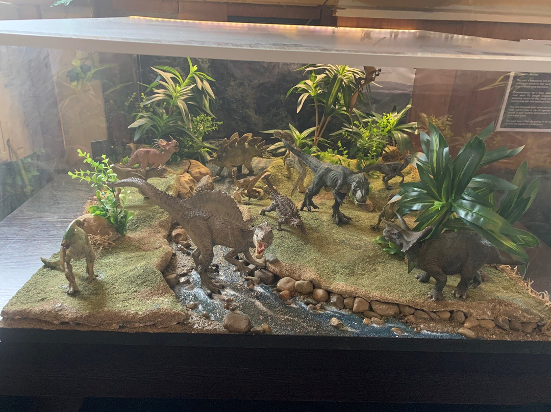 Dinosaur House-Raetihi必去景点