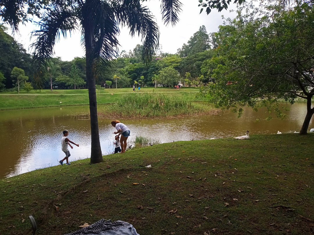 Teresa Maia Park-Cotia必去景点