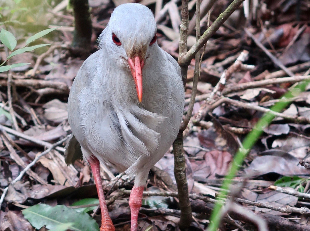 Sud Loisirs-Yate必去景点