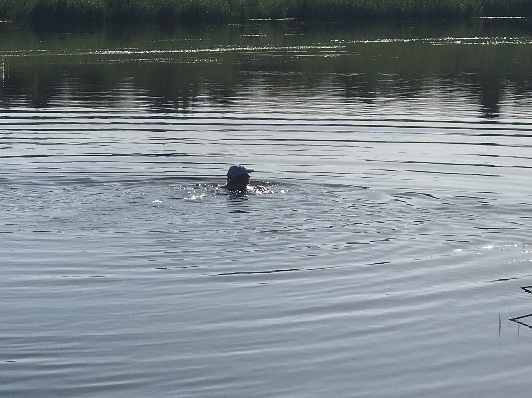 Aussenkehr旅游攻略图片