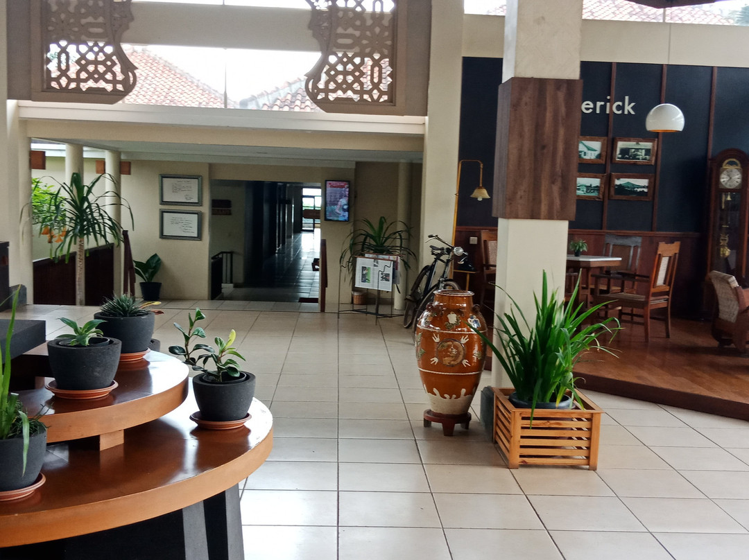 D'Emmerick Salib Putih Hotel主图