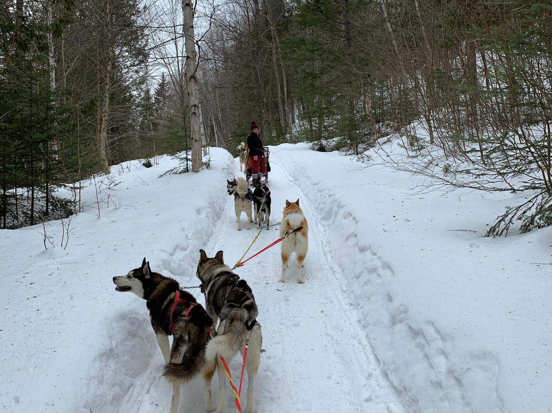 Expedition Wolf-Riviere-Rouge必去景点