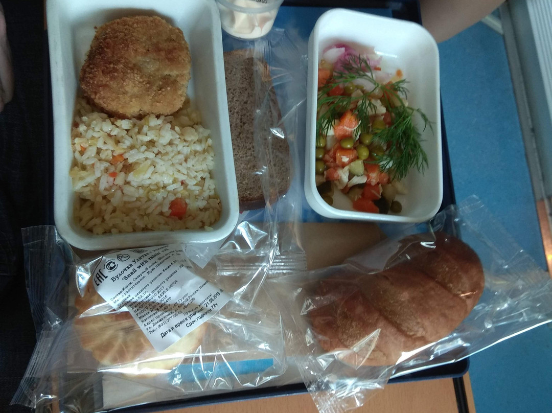 High Speed Train Strizh景点图片