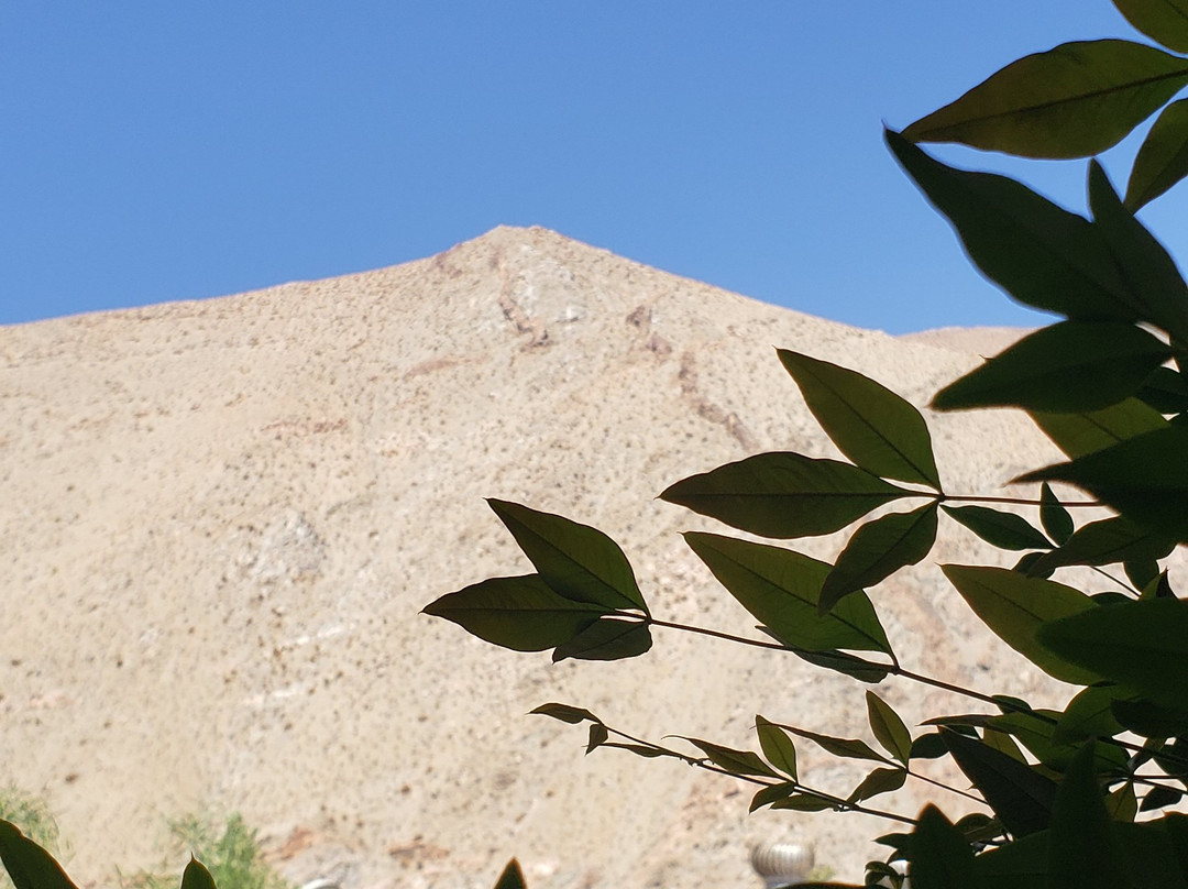 Valle del Elqui-拉塞雷纳必去景点