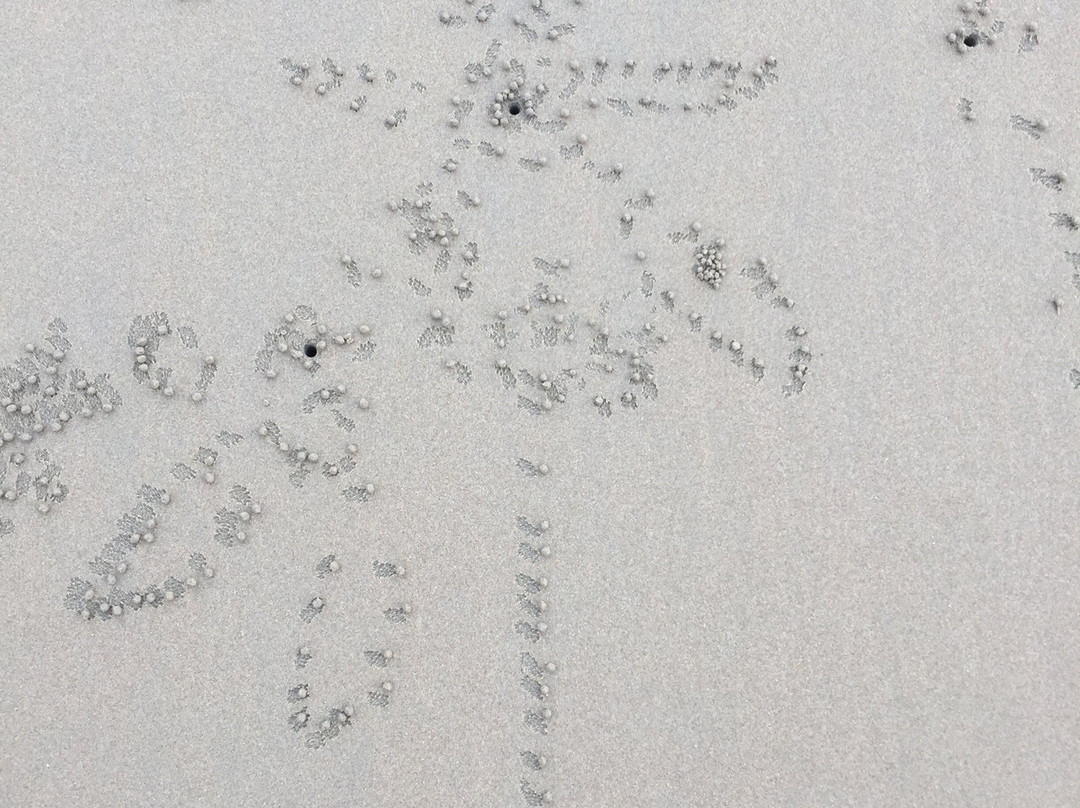 Sematan Palm Beach Resort主图