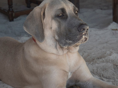 Pakachi Beach Hotel主图