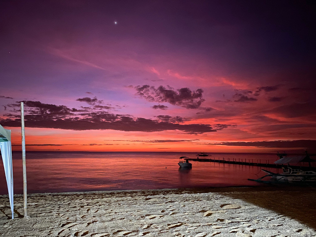 The Beach House主图