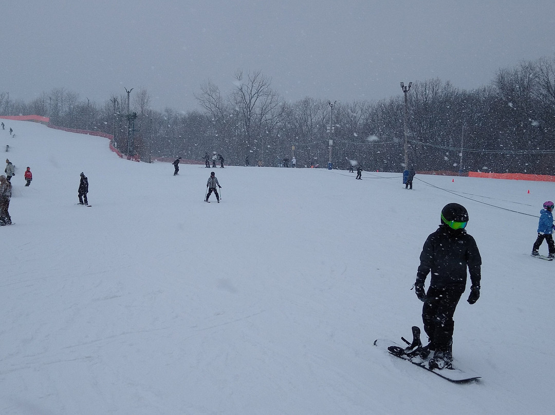 Four Lakes Ski Area-Lisle必去景点