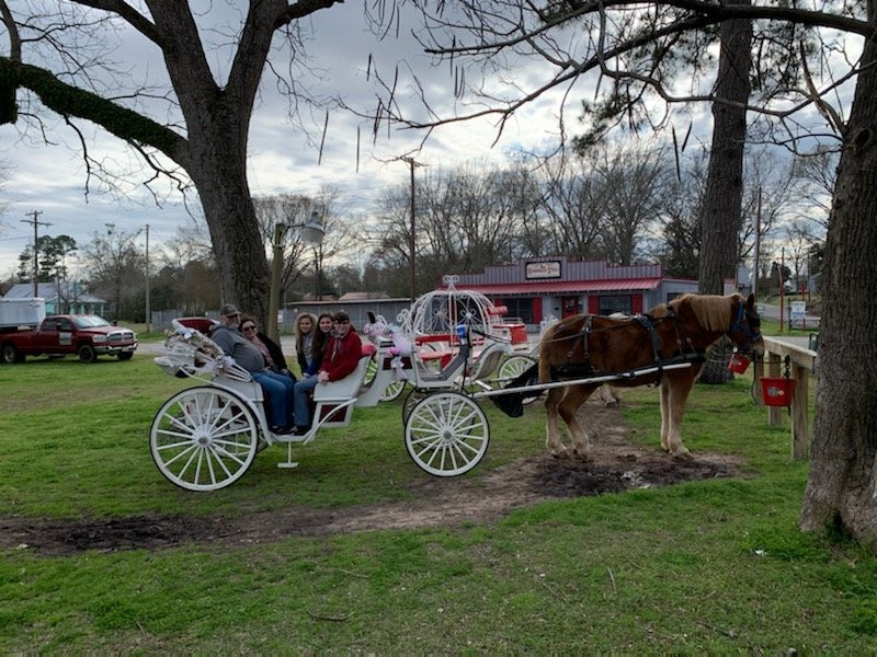 The Lone Star Carriage Company Of Jefferson Texas景点图片