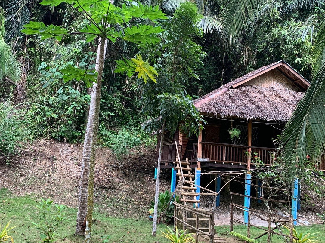 坚果木屋度假村主图
