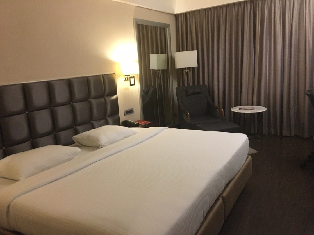 Quality Hotel DV Manor主图