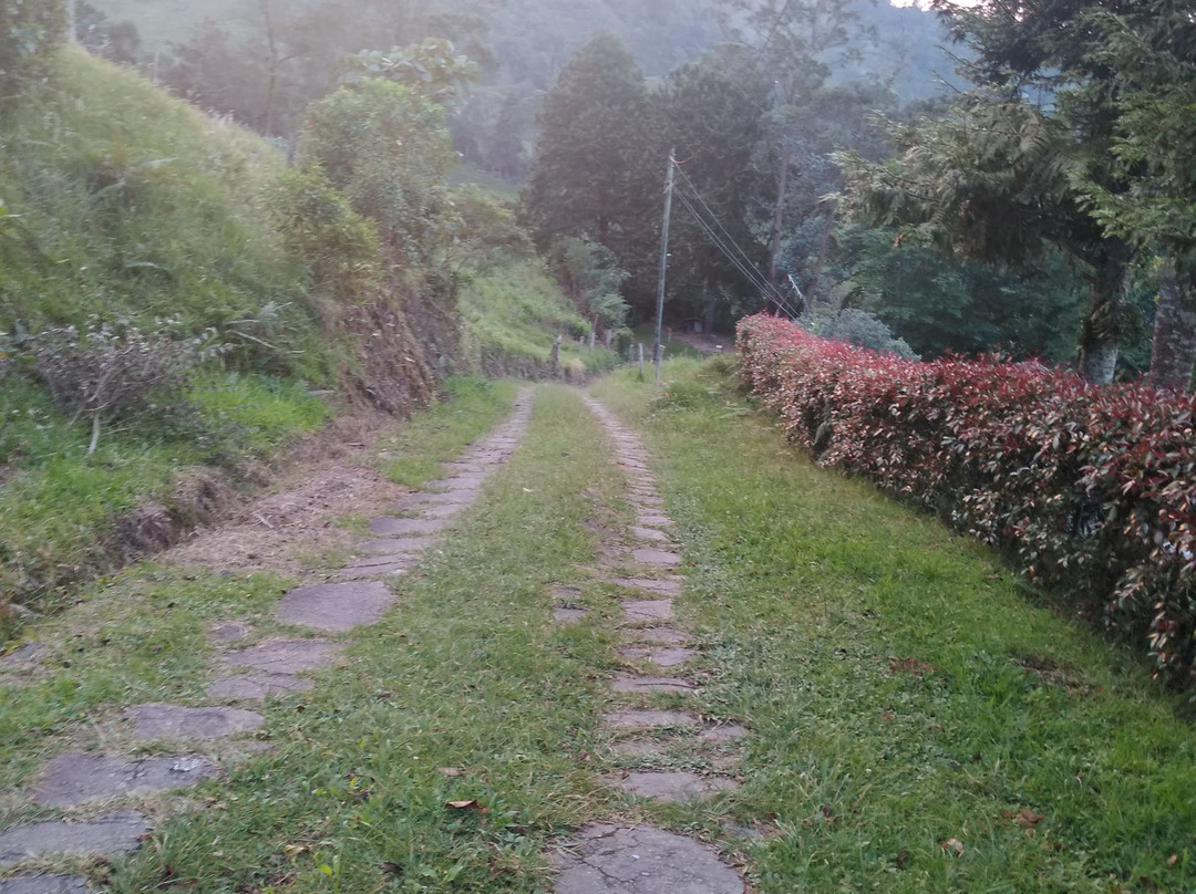 Granja La Cascada景点图片