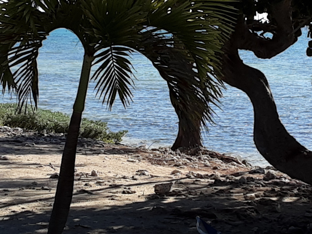 Paradise Villas主图