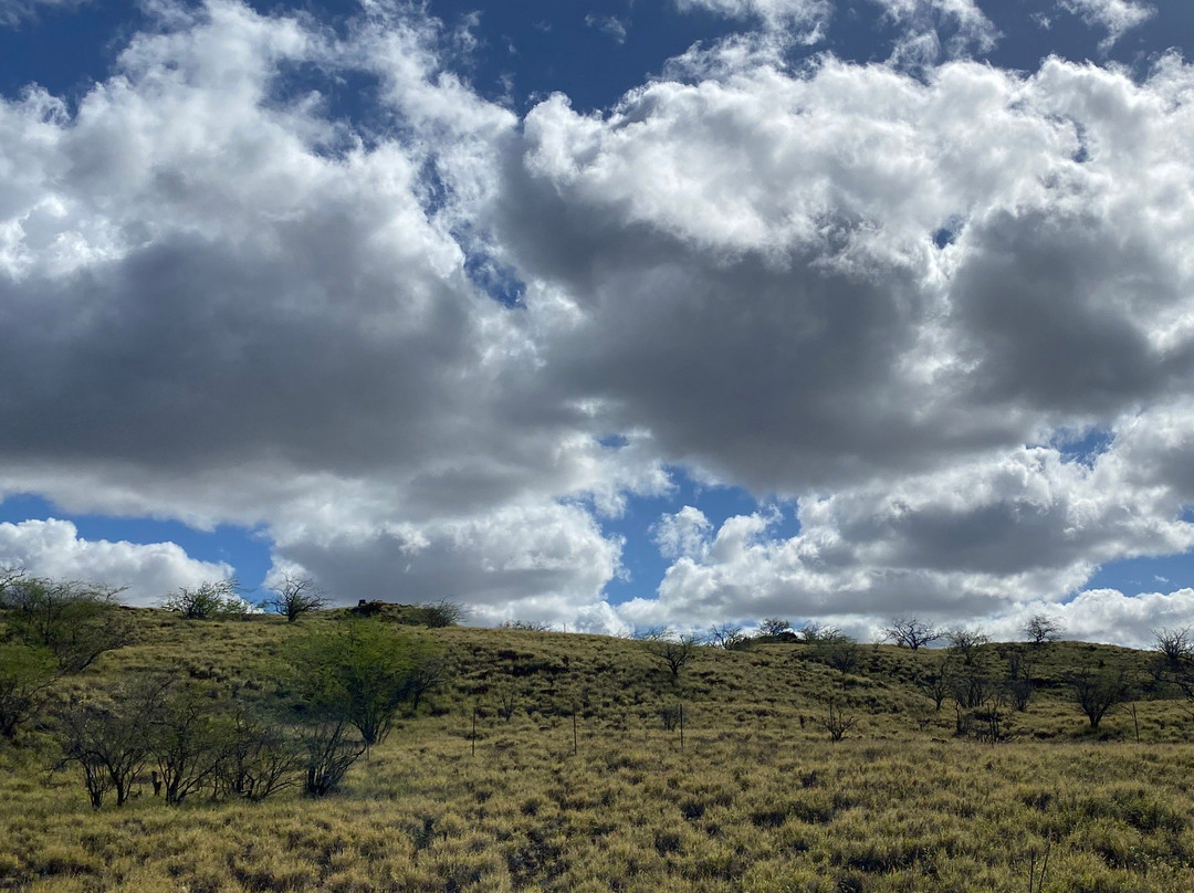 Kamuela Farmers Market-卡慕也拉必去景点