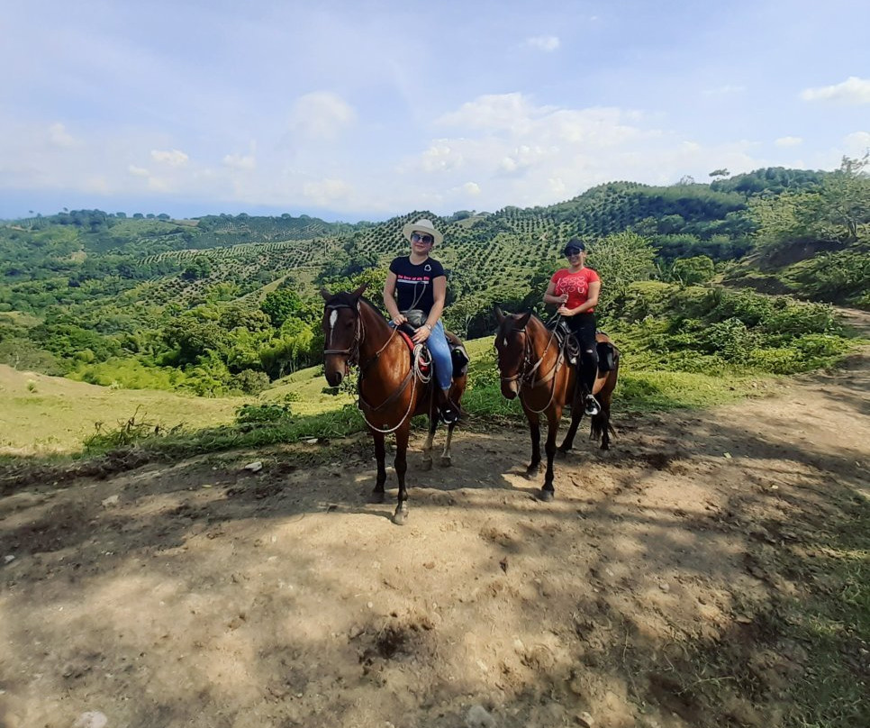 Cabalgatas El Carmelo-La Tebaida必去景点