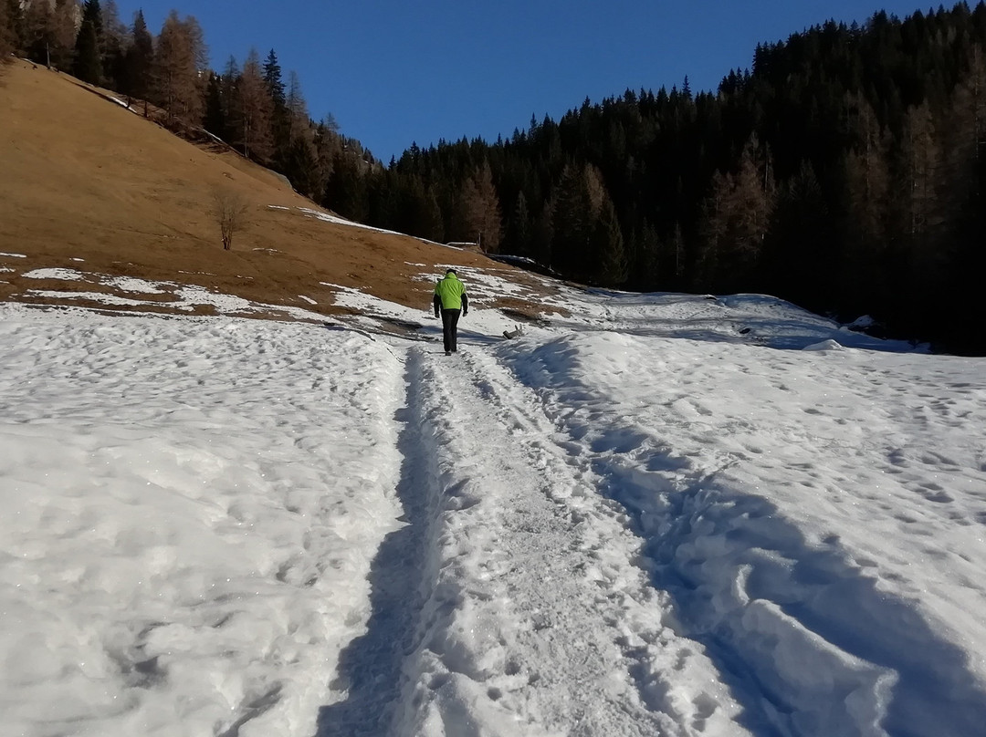 Passeggiata da Pescul al Rifugio Aquileia-Pescul必去景点