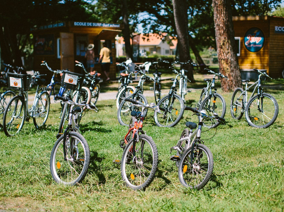 Jerry Bike Rental景点图片